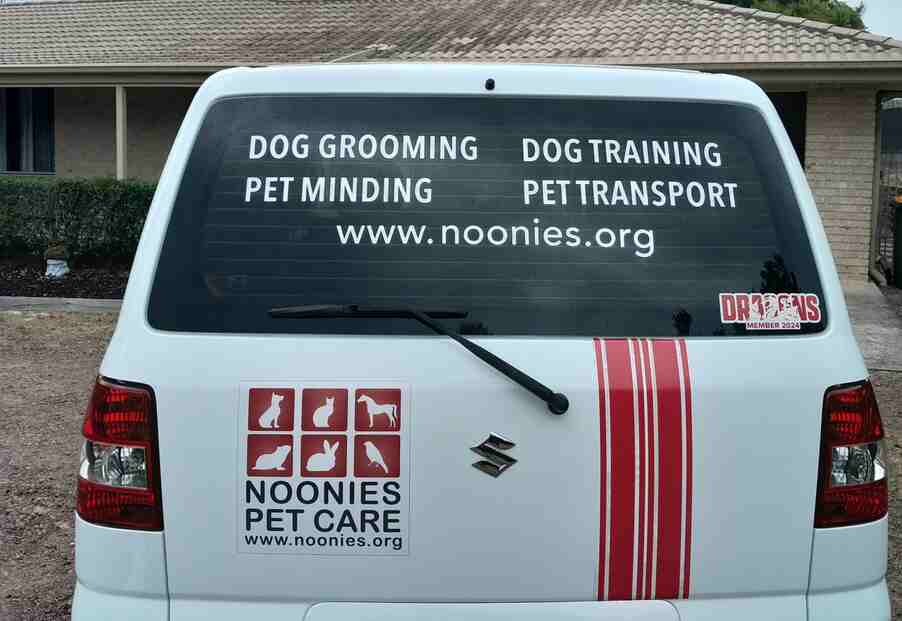 Close-up of Noonies Pet Care van's back window with text detailing dog grooming, pet minding, and other services