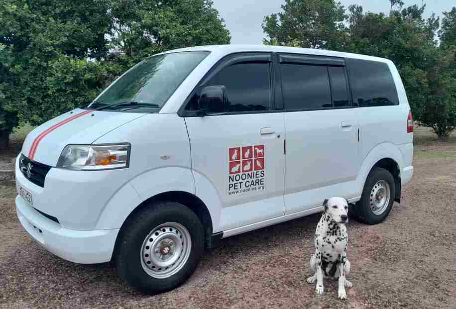 Front view of Noonies Pet Care van with a Dalmatian dog seated in front, showcasing the company's branding.
